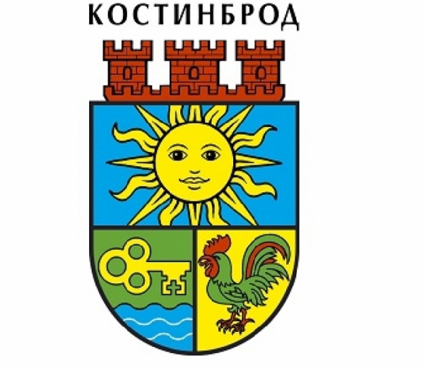20.5% е избирателната активност в община Костинброд към 13:00 ч.