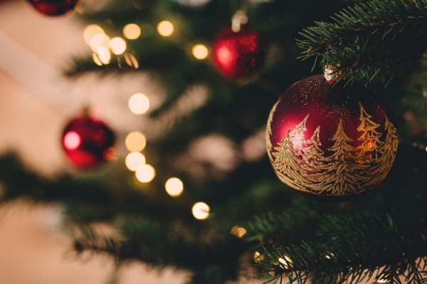 Светлините на коледното дърво в Своге ще грейнат на 2 декември