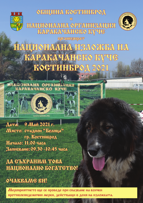 Национална изложба на Каракачанско куче – Костинброд 2021 г.