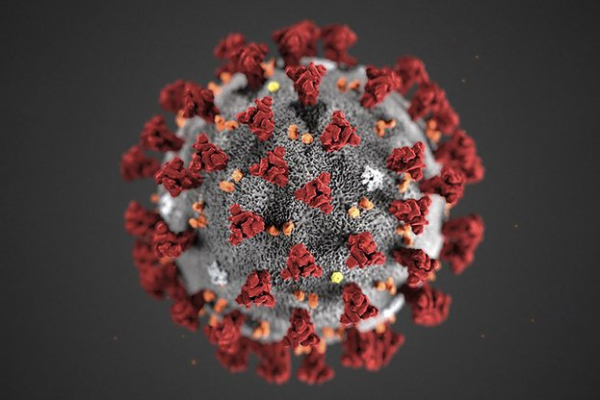 4 922 нови случая на коронавирусна инфекция са потвърдени у нас през изминалото денонощие