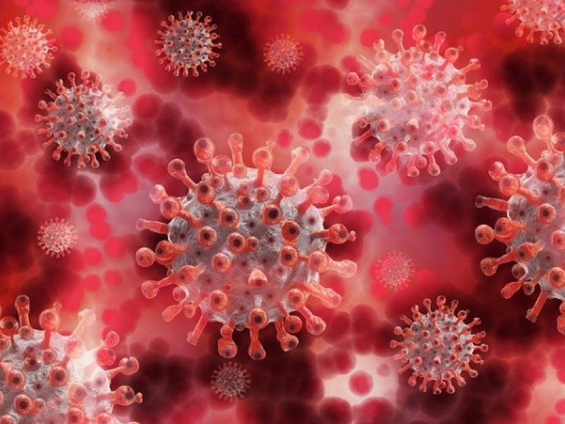 842 нови случая на коронавирусна инфекция са потвърдени у нас през последните 24 часа