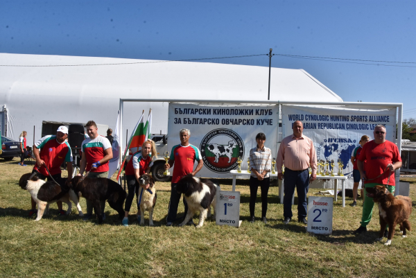 Национален шампионат за всички породи кучета и изложба за Българско овчарско куче в Костинброд
