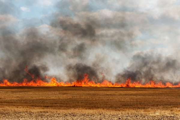 Пожар възникна между костинбродските села Понор и Безден