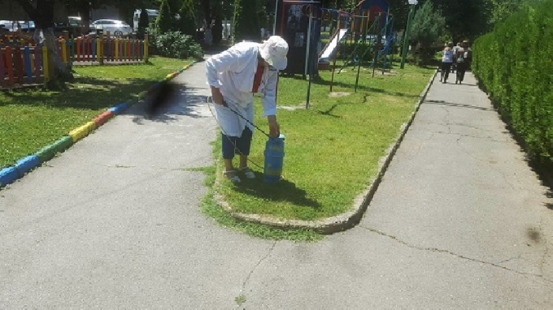 В защита на най-малките в Своге пръскат допълнително срещу кърлежи