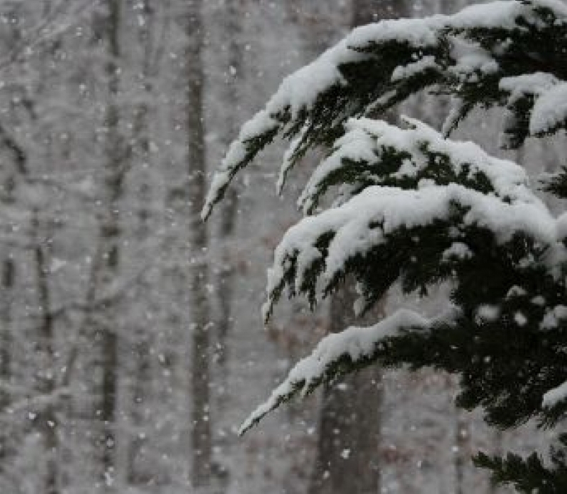 Застудява, започват снеговалежи и ветрове