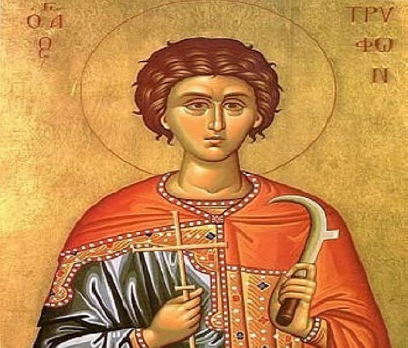 Православната църква почита Свети Трифон