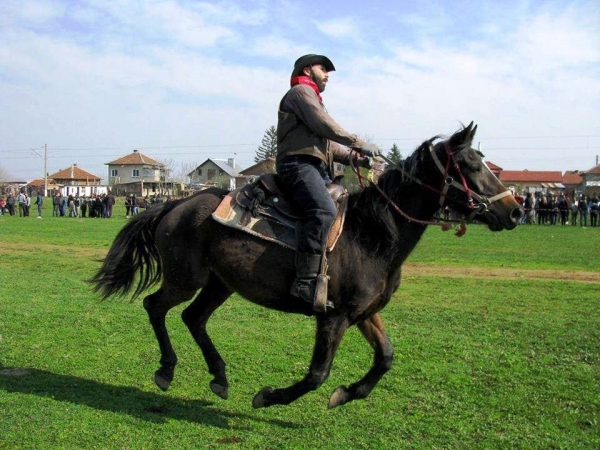 Врачанското село Нефела е домакин на конни игри