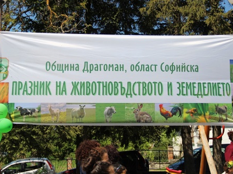 Проведе се третото издание на празника на животновъдството и земеделието в община Драгоман