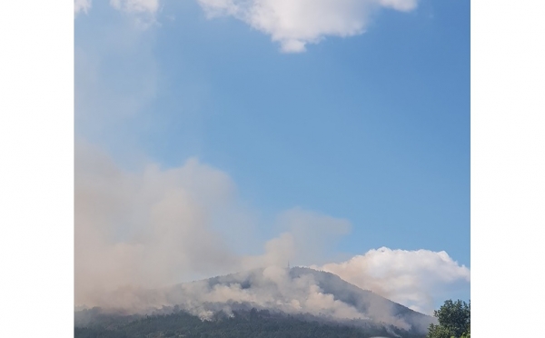Новото огнище на пожара край Реброво е овладяно