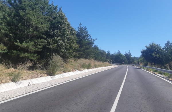 Завърши рехабилитацията на 20,8 км от пътя Бучин проход-Берковица 