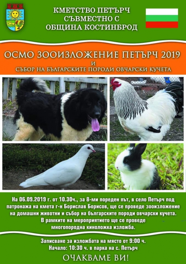 „Зоо изложение и събор на българските породи овчарски кучета“ в Петърч