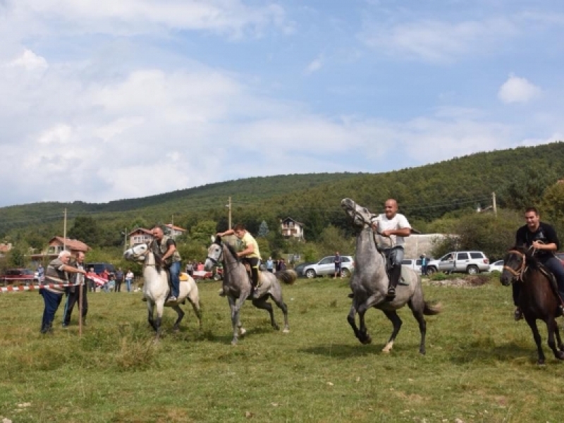 За поредна година в Чибаовци ще се проведат конни надбягвания