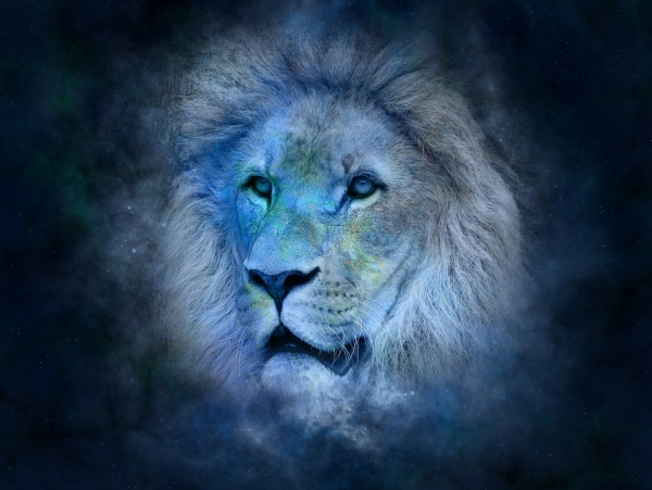 Годишен хороскоп за 2020: Зодия Лъв