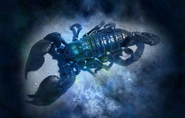 Годишен хороскоп за 2020: Зодия Скорпион