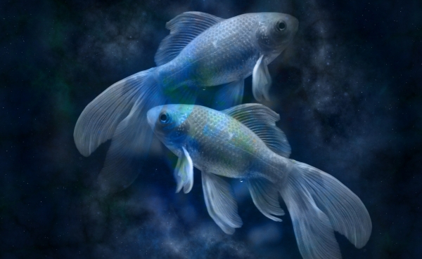 Годишен хороскоп за 2020: Зодия Риби