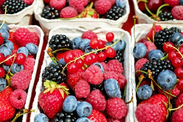 На 11 май откриват пазар за посадъчен материал, плодове и зеленчуци в Годеч