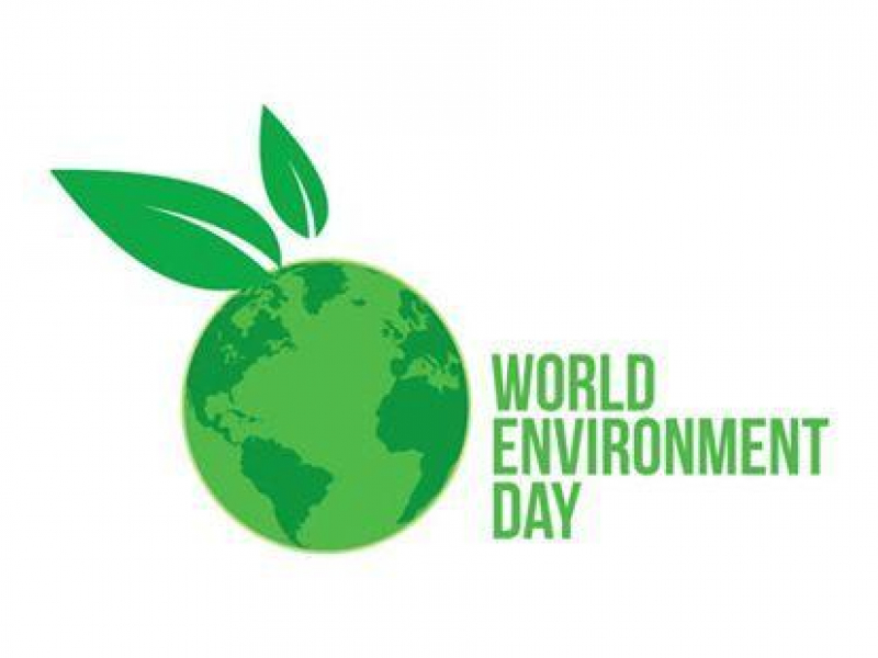 На 04 юни честваме Световния ден на околната среда 