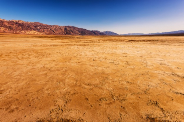 Отбелязваме Световния ден за борба със сушата и настъпването на пустините
