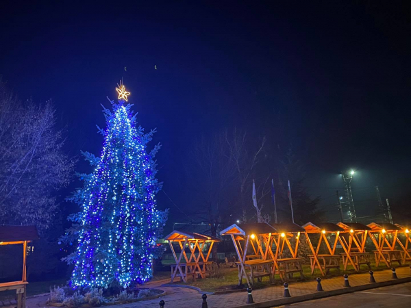 Коледната елха на Костинброд грейна (видео)