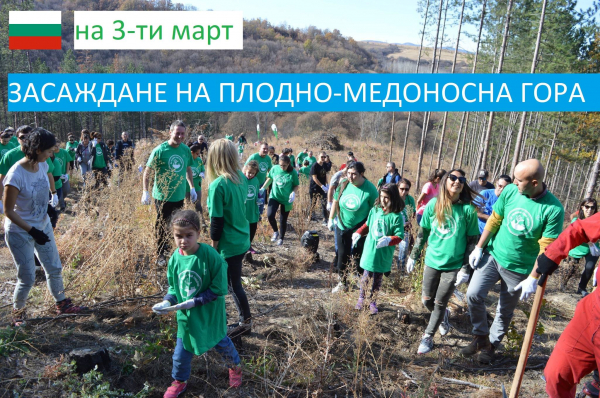 Доброволци засаждат плодна, медоносна и ветрозащитна гора до с. Петърч на 3 март