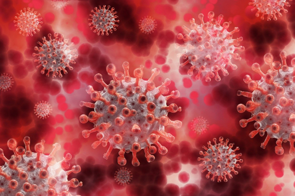 2 774 са новите случаи на коронавирусна инфекция, потвърдени в България през изминалото денонощие