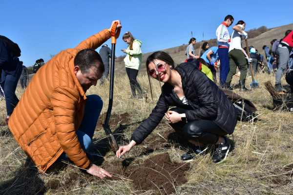 Доброволци засадиха плодна, медоносна и ветрозащитна гора в Драговищица (снимки)