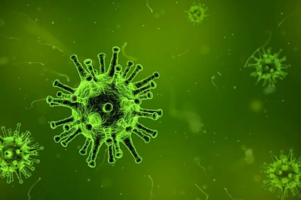 1 959 са новодиагностицираните с коронавирусна инфекция лица у нас през изминалите 24 часа