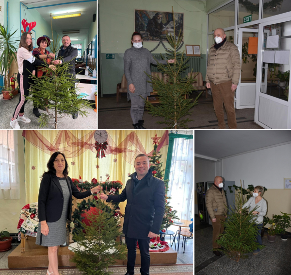 И тази година всички образователни институции на територията на община Костинброд получиха коледно дръвче