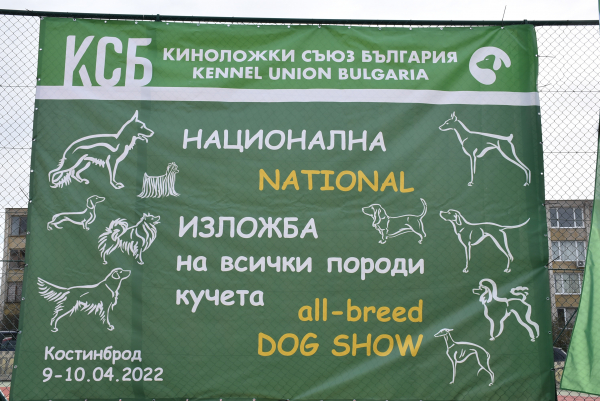 В Костинброд се проведе Национална изложба за всички породи кучета „Свети Георги Победоносец“