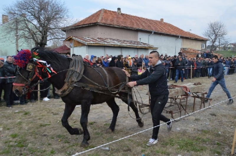 Любители на конете се събраха в Костинброд