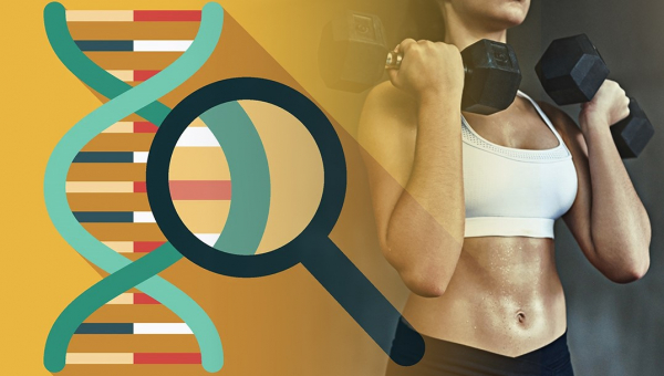 Поддържане на добра форма – имат ли значение гените?