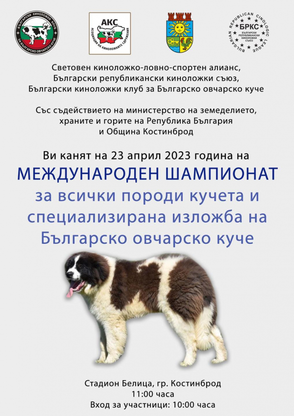 Костинброд е домакин на Международен шампионат за всички породи кучета 