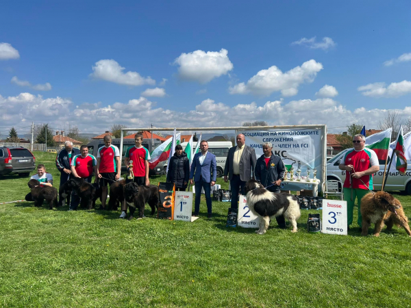 Община Костинброд за четвърти път бе домакин на Национален шампионат за всички породи кучета и специализирана изложба за Българско овчарско куче