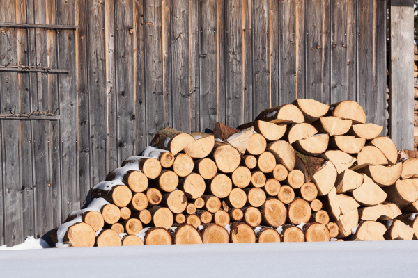 Община Божурище стартира записване за закупуване на дърва за огрев