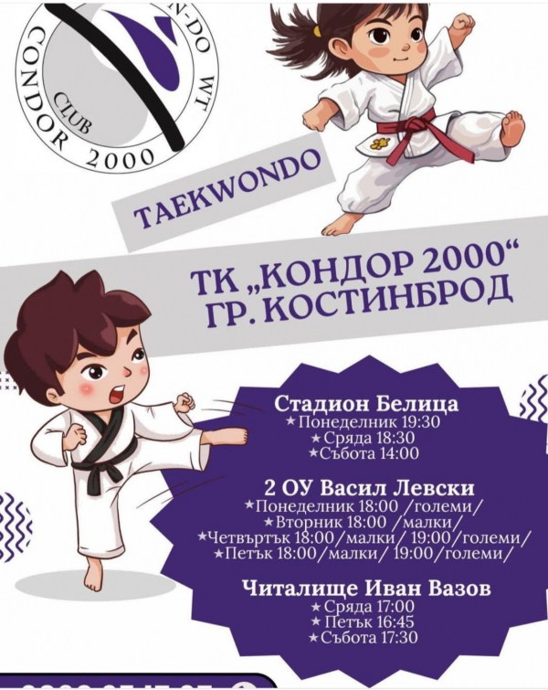 Курсове по таекуондо