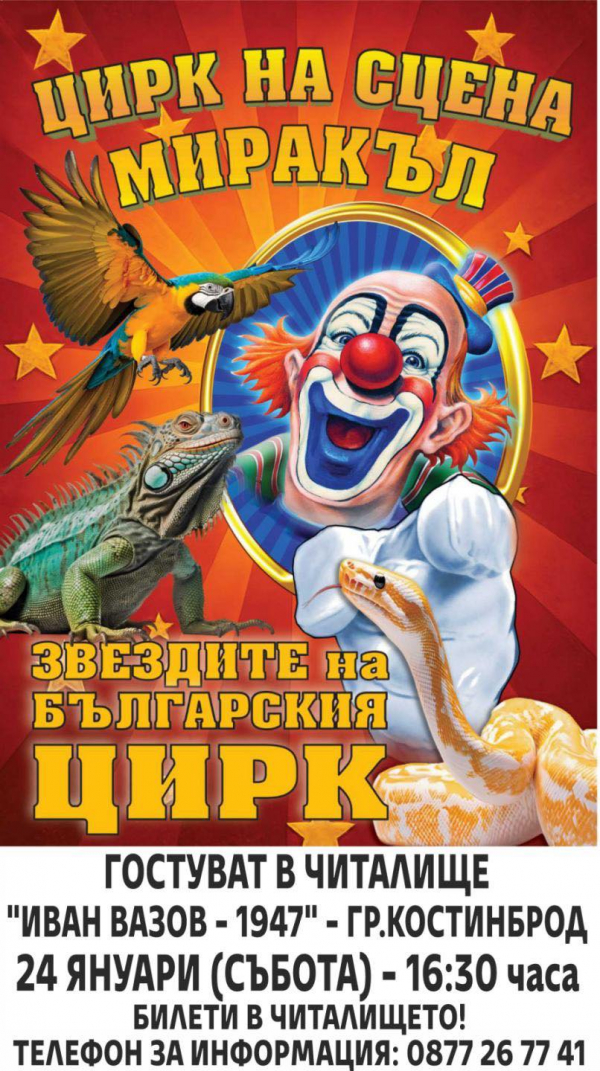 Цирк на сцена „Миракъл“ представя „Звездите на българския цирк“ в Костинброд