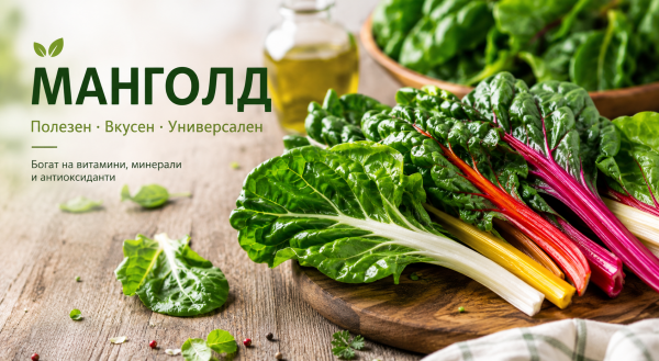 Манголдът – зеленолистният зеленчук, който има място във всяко меню
