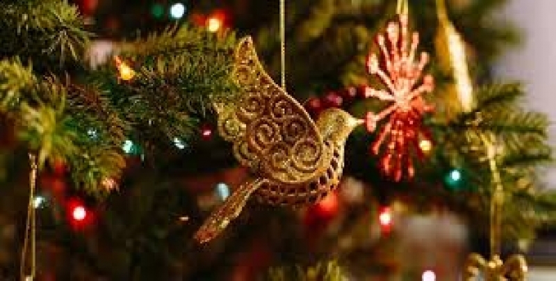 Светлините на празничната елха в Годеч ще грейнат на 9-ти декември от 18.00 часа