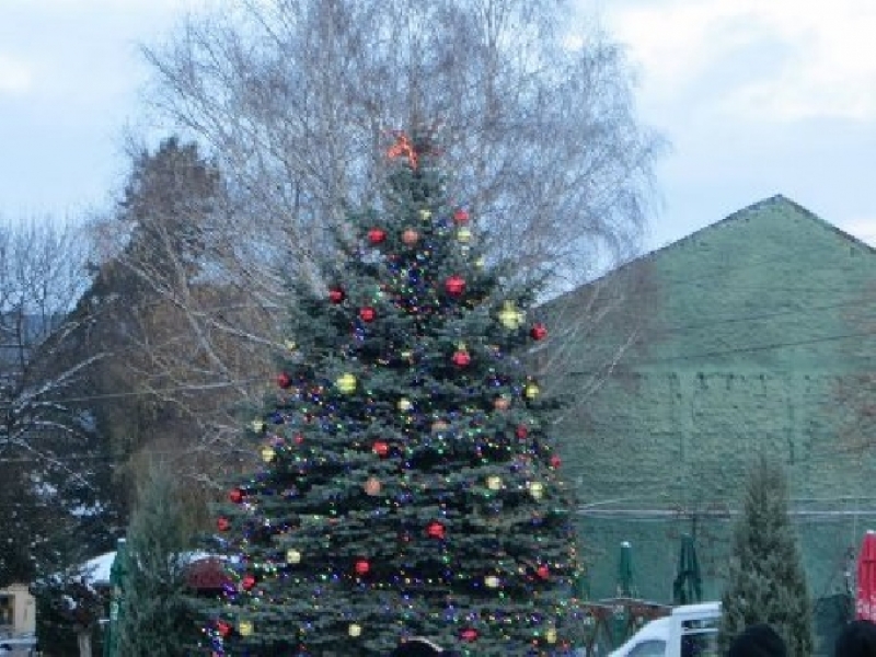 Коледна елха свети на централния площад в Своге