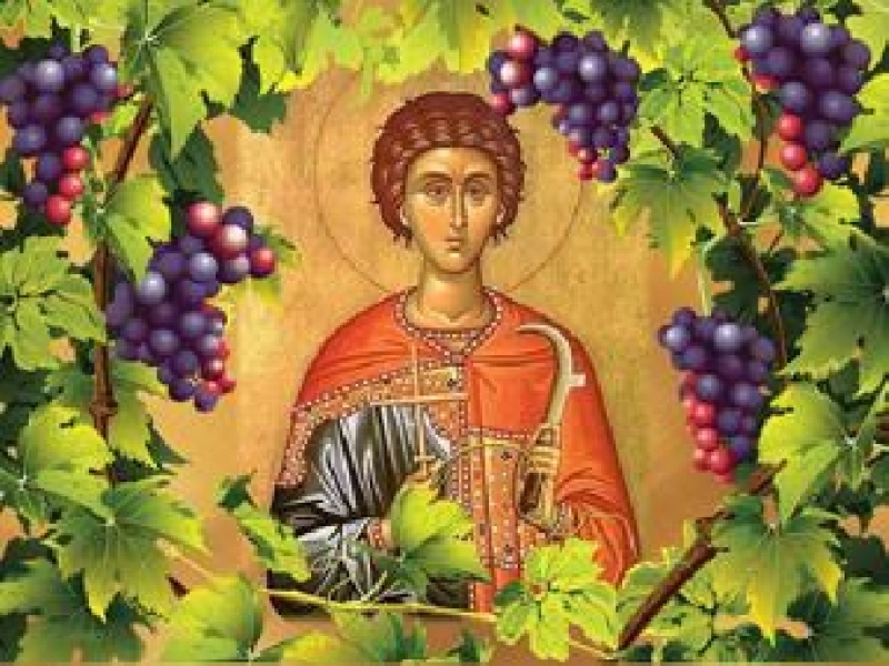 Честит празник на лозаря и виното