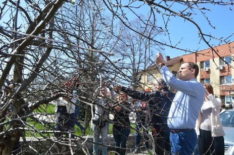 Общинското ръководство и жителите на Костинброд закачиха заедно мартениците си на цъфнало дръвче